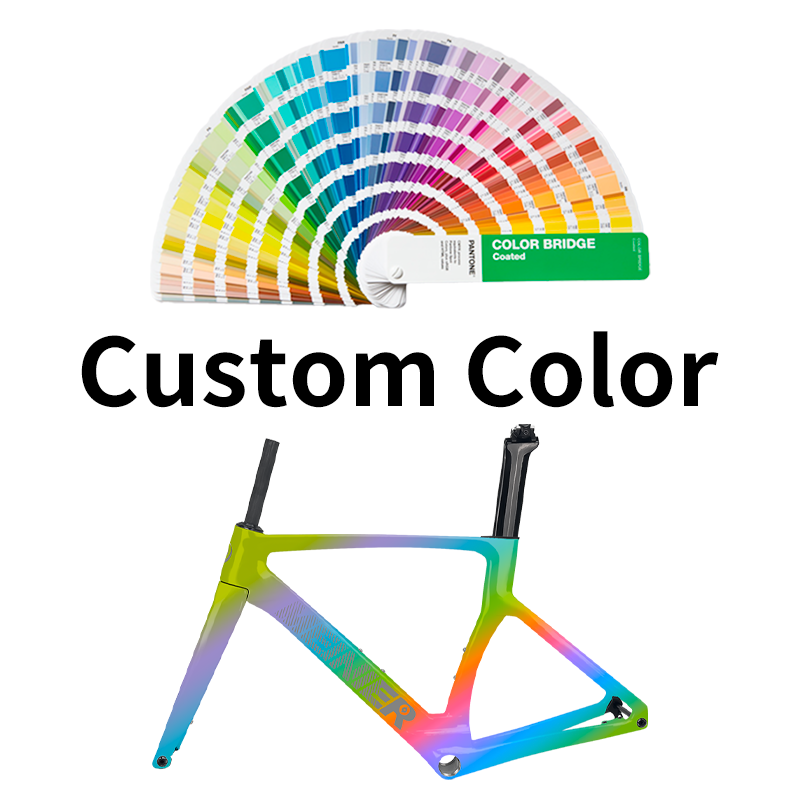 Upgraded DS-118 Lightweight Carbon Fiber Road Bike Frame UDH Hanger Disc Brake Racing Bike Frame