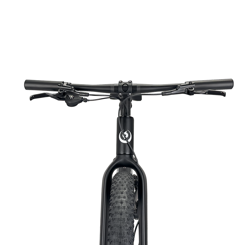 24 Inch Carbon Mountain Bike Internal Cable Routing T47 Bottom Bracket 10Speed Disc Brake Lightweight MTB