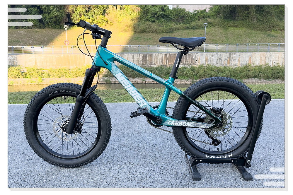20er kids Bike with Suspension Fork Hard Tail Mtb with Shimano MT200 Disc Brake 20*2.6Tire