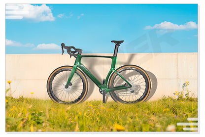 Upgraded DS-118 Lightweight Carbon Fiber Road Bike Frame UDH Hanger Disc Brake Racing Bike Frame