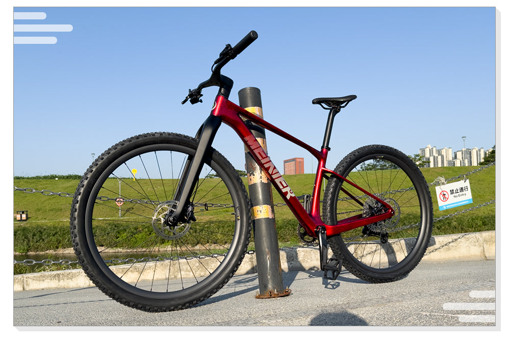 Carbon Hardtail Frame 29er 148x12mm Boost UDH MTB Frame Snake Pattern Carbon Fiber Mountain Bike Frame High Performance Lightweight