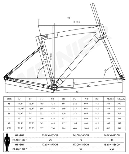 High Performance Carbon Road Bike Frameset BSA UDH 142x12mm Hub Disc Brake Lightweight for Racing Bike