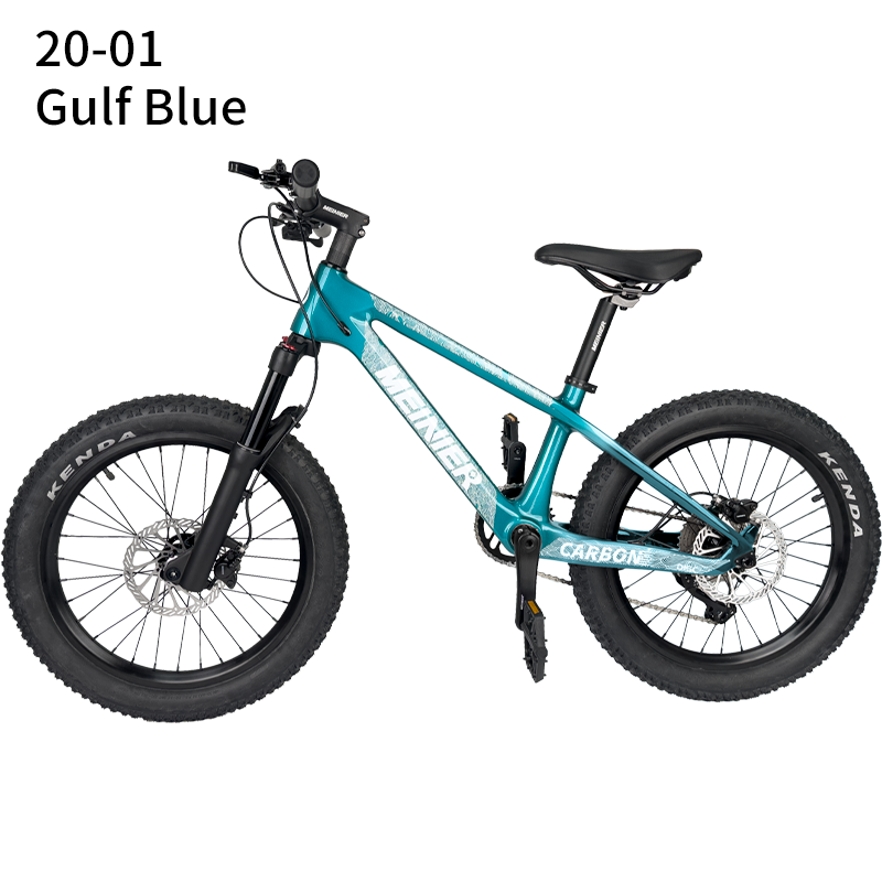 Gulf Blue Bike