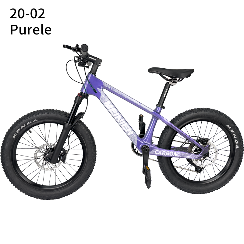 Purple Bike
