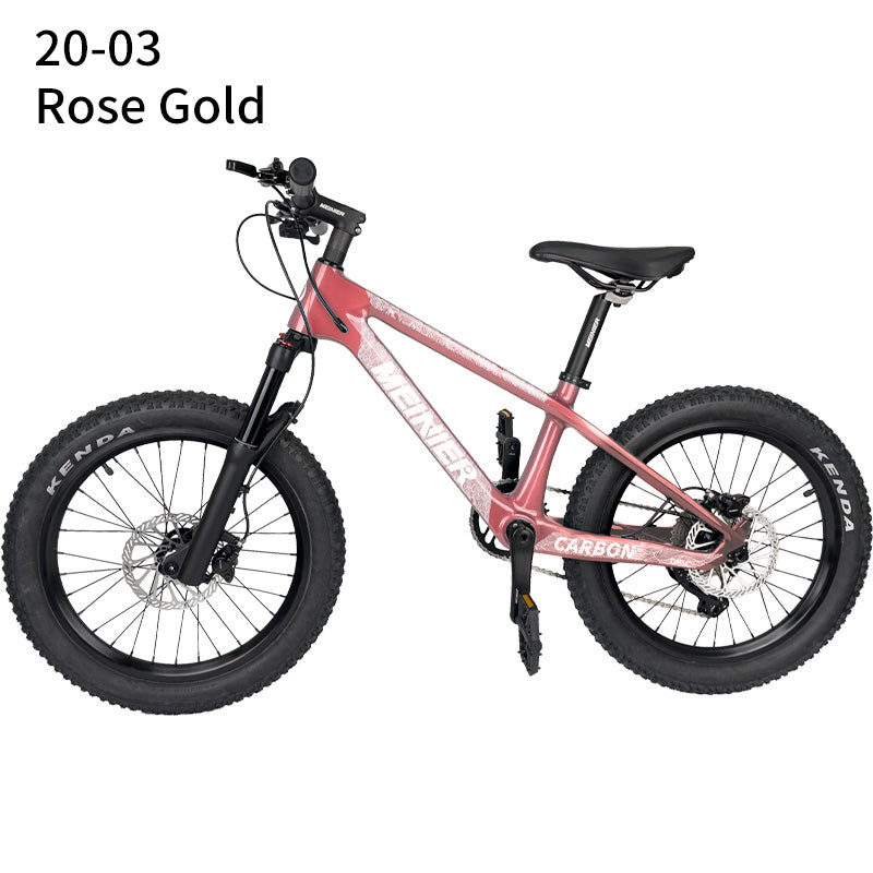 Rose Gold Bike