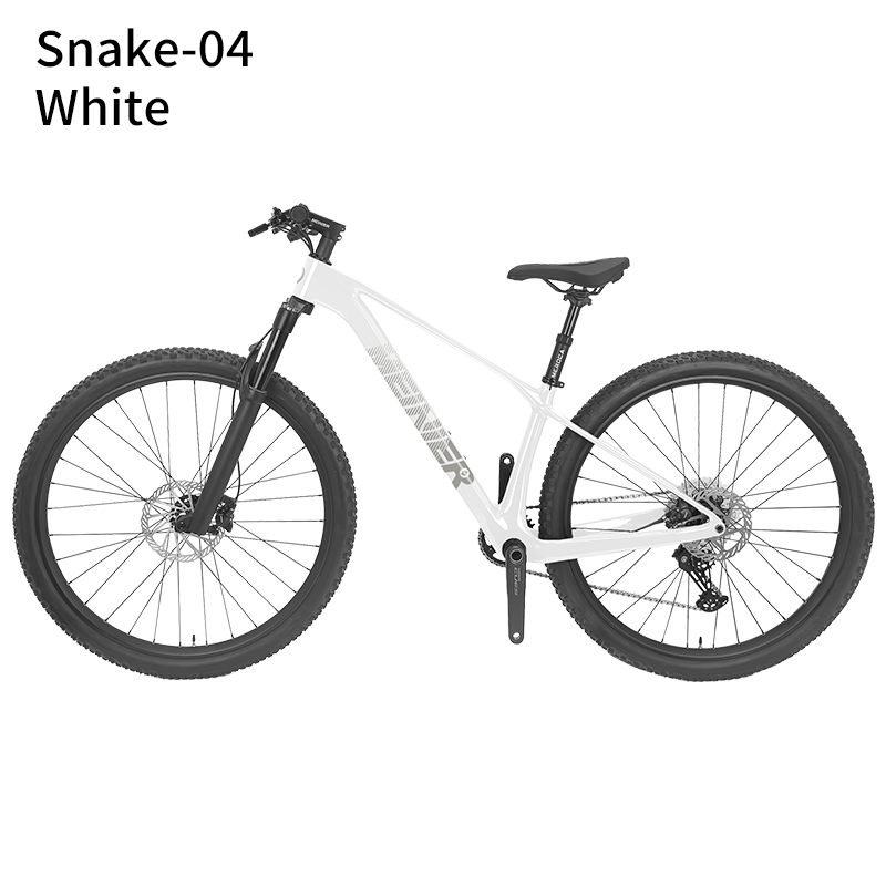 29inch Carbon Fiber Mountain Bike