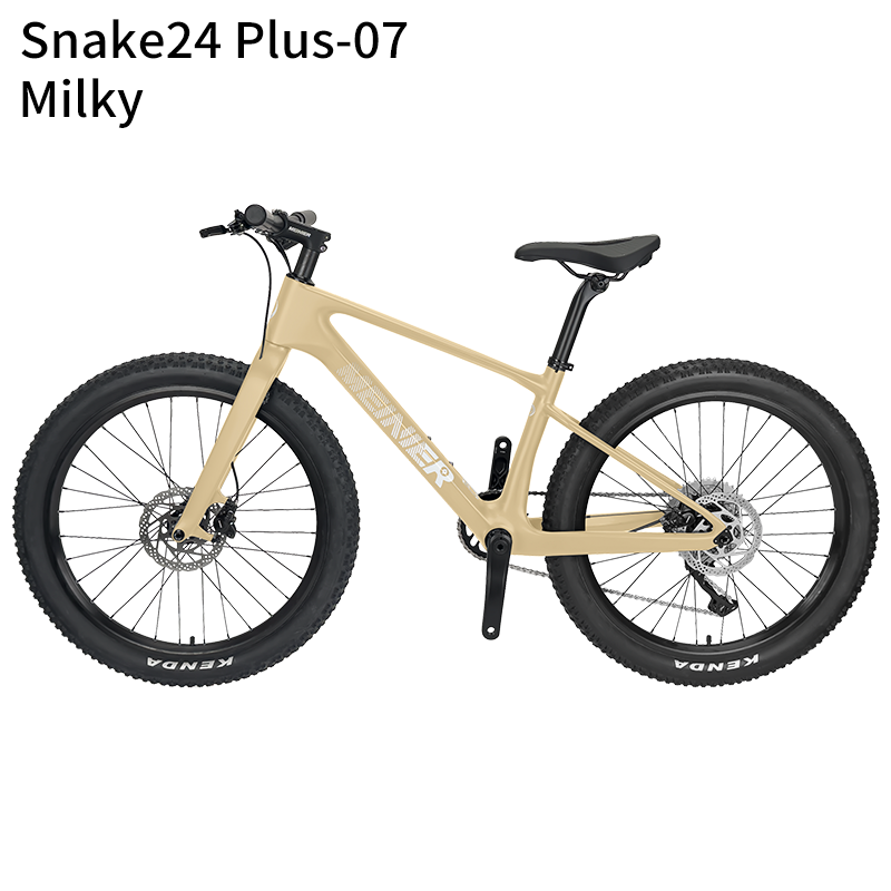 24 Inch Carbon Mountain Bike Internal Cable Routing T47 Bottom Bracket 10Speed Disc Brake Lightweight MTB