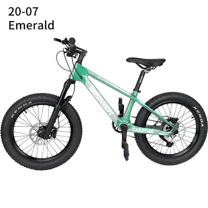 Emerald Bike
