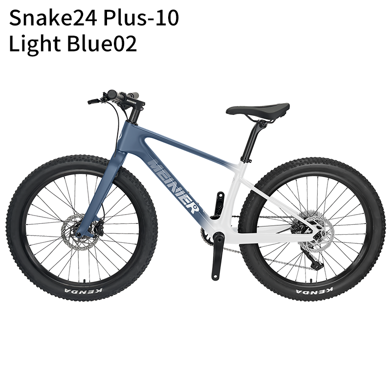 24 Inch Carbon Mountain Bike Internal Cable Routing T47 Bottom Bracket 10Speed Disc Brake Lightweight MTB