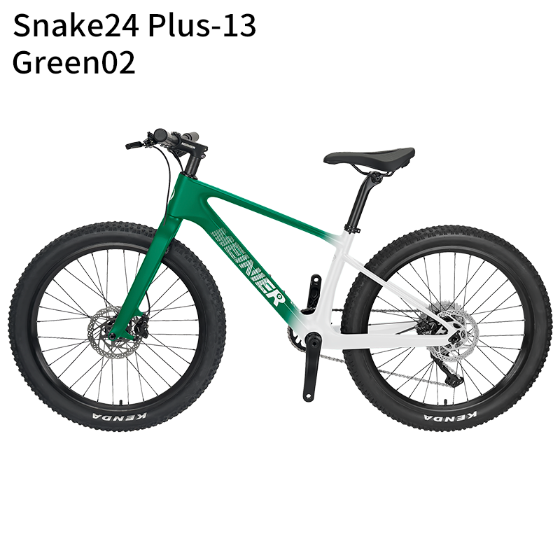 24 Inch Carbon Mountain Bike Internal Cable Routing T47 Bottom Bracket 10Speed Disc Brake Lightweight MTB