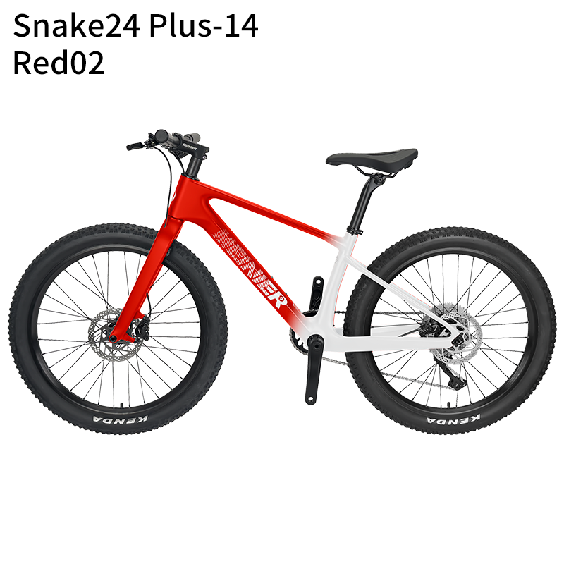 24 Inch Carbon Mountain Bike Internal Cable Routing T47 Bottom Bracket 10Speed Disc Brake Lightweight MTB
