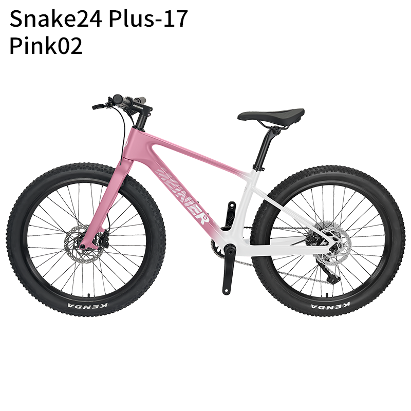 24 Inch Carbon Mountain Bike Internal Cable Routing T47 Bottom Bracket 10Speed Disc Brake Lightweight MTB