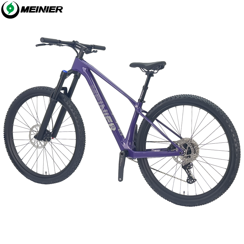 29inch Carbon Fiber Mountain Bike