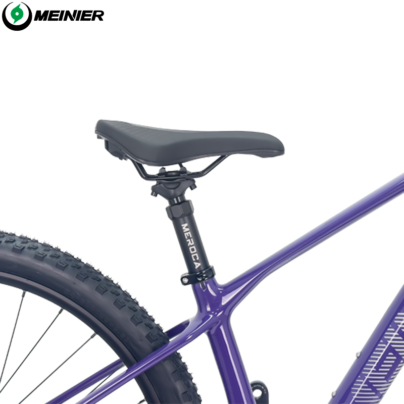 29inch Carbon Fiber Mountain Bike