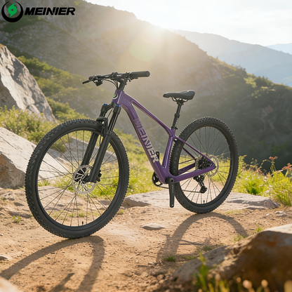 29inch Carbon Fiber Mountain Bike